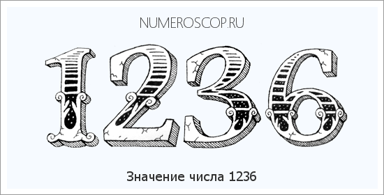 Расшифровка значения числа 1236 по цифрам в нумерологии
