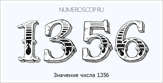 Расшифровка значения числа 1356 по цифрам в нумерологии