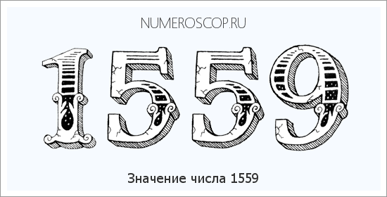 Расшифровка значения числа 1559 по цифрам в нумерологии