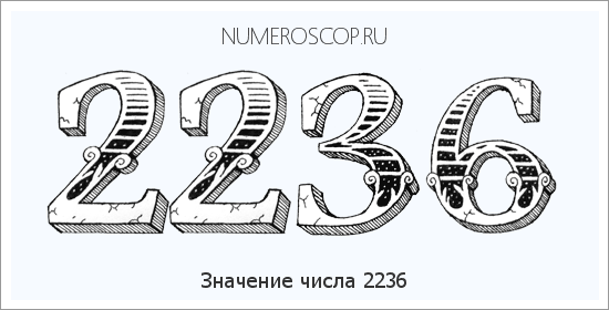 Расшифровка значения числа 2236 по цифрам в нумерологии