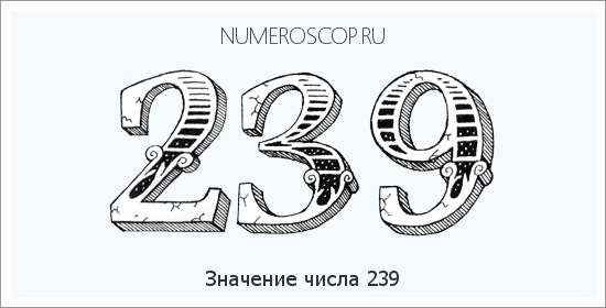 Расшифровка значения числа 239 по цифрам в нумерологии