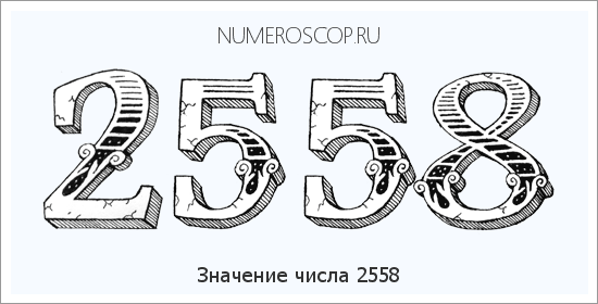 Расшифровка значения числа 2558 по цифрам в нумерологии