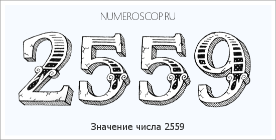 Расшифровка значения числа 2559 по цифрам в нумерологии