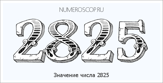 Расшифровка значения числа 2825 по цифрам в нумерологии