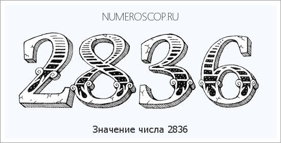 Расшифровка значения числа 2836 по цифрам в нумерологии