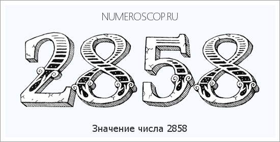 Расшифровка значения числа 2858 по цифрам в нумерологии
