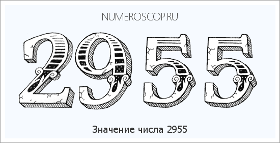 Расшифровка значения числа 2955 по цифрам в нумерологии