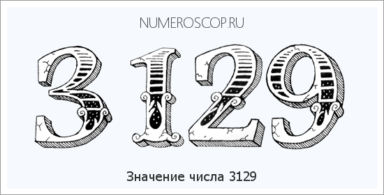 Расшифровка значения числа 3129 по цифрам в нумерологии