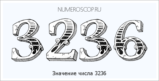 Расшифровка значения числа 3236 по цифрам в нумерологии