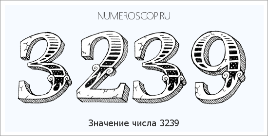 Расшифровка значения числа 3239 по цифрам в нумерологии