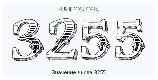 Расшифровка значения числа 3255 по цифрам в нумерологии
