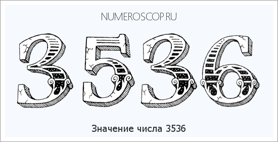 Расшифровка значения числа 3536 по цифрам в нумерологии