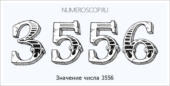 Расшифровка значения числа 3556 по цифрам в нумерологии