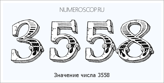 Расшифровка значения числа 3558 по цифрам в нумерологии