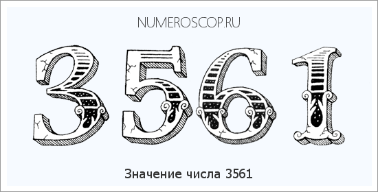 Расшифровка значения числа 3561 по цифрам в нумерологии