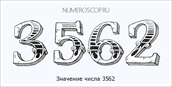 Расшифровка значения числа 3562 по цифрам в нумерологии