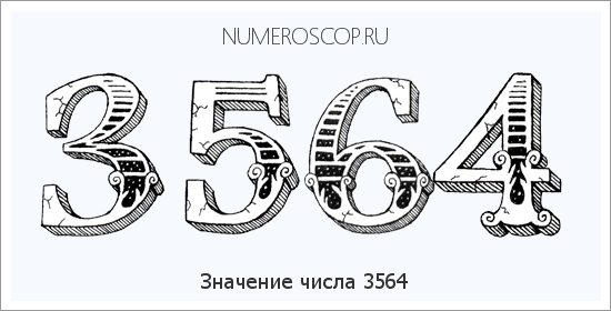Расшифровка значения числа 3564 по цифрам в нумерологии