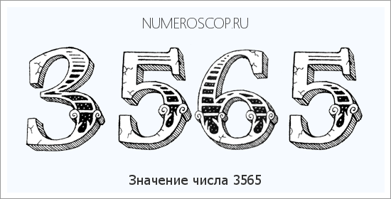 Расшифровка значения числа 3565 по цифрам в нумерологии