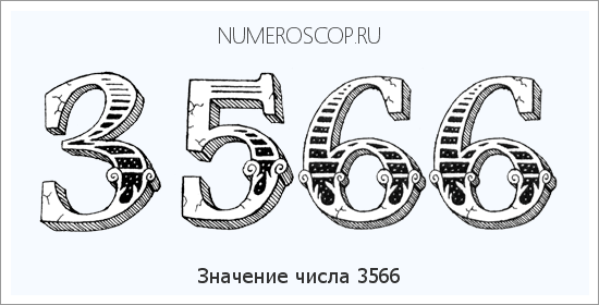 Расшифровка значения числа 3566 по цифрам в нумерологии
