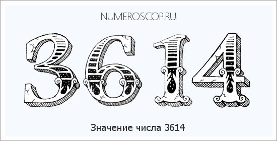 Расшифровка значения числа 3614 по цифрам в нумерологии