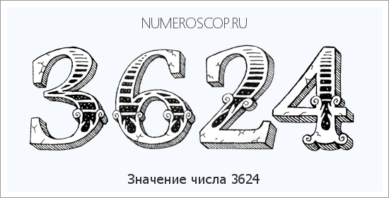 Расшифровка значения числа 3624 по цифрам в нумерологии