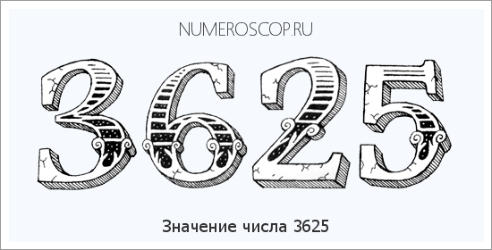 Расшифровка значения числа 3625 по цифрам в нумерологии