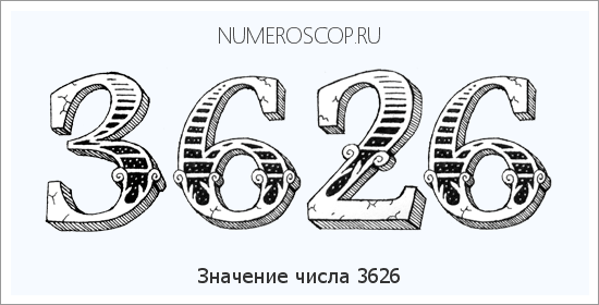 Расшифровка значения числа 3626 по цифрам в нумерологии