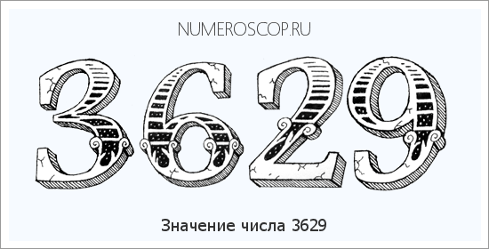 Расшифровка значения числа 3629 по цифрам в нумерологии