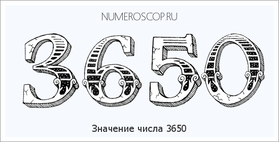 Расшифровка значения числа 3650 по цифрам в нумерологии