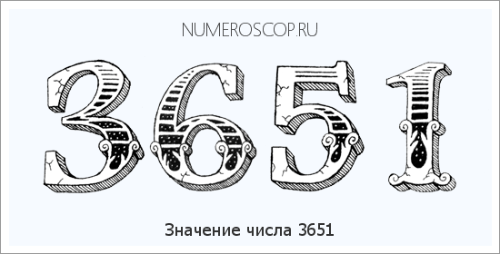 Расшифровка значения числа 3651 по цифрам в нумерологии