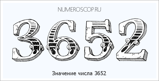 Расшифровка значения числа 3652 по цифрам в нумерологии