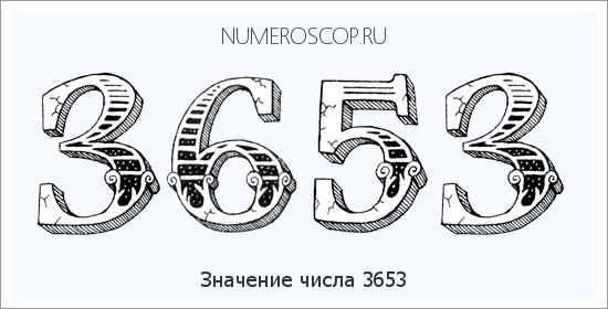 Расшифровка значения числа 3653 по цифрам в нумерологии