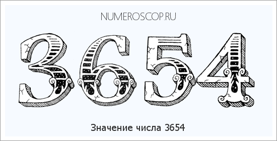 Расшифровка значения числа 3654 по цифрам в нумерологии