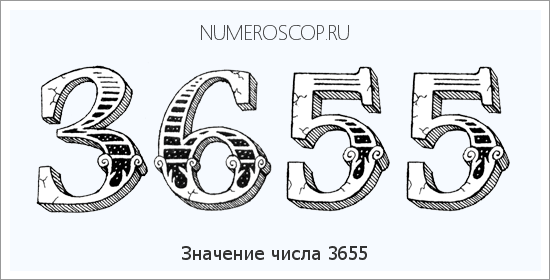 Расшифровка значения числа 3655 по цифрам в нумерологии