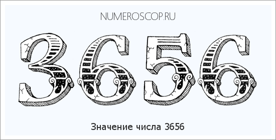 Расшифровка значения числа 3656 по цифрам в нумерологии