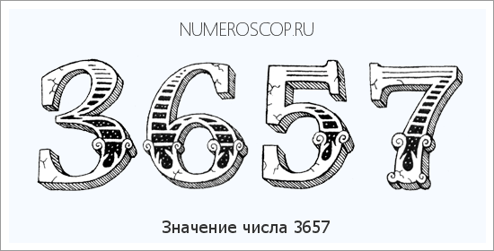 Расшифровка значения числа 3657 по цифрам в нумерологии