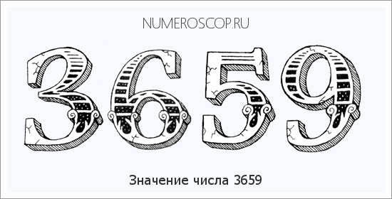 Расшифровка значения числа 3659 по цифрам в нумерологии