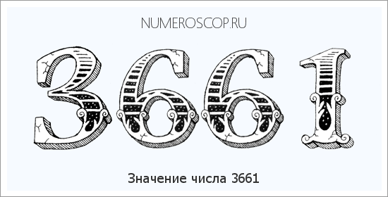 Расшифровка значения числа 3661 по цифрам в нумерологии