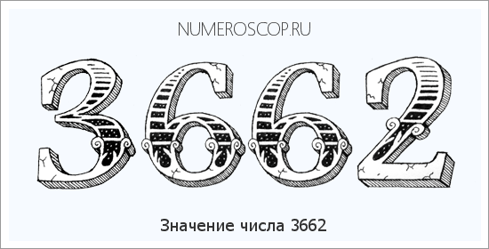 Расшифровка значения числа 3662 по цифрам в нумерологии