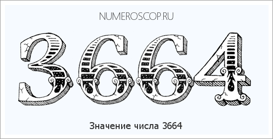Расшифровка значения числа 3664 по цифрам в нумерологии