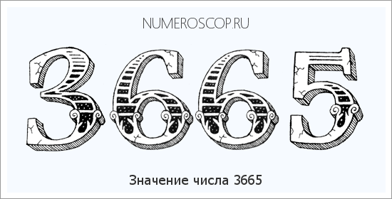 Расшифровка значения числа 3665 по цифрам в нумерологии