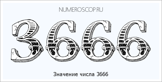 Расшифровка значения числа 3666 по цифрам в нумерологии