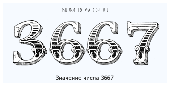 Расшифровка значения числа 3667 по цифрам в нумерологии