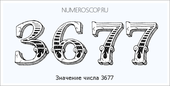 Расшифровка значения числа 3677 по цифрам в нумерологии