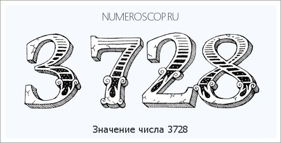 Расшифровка значения числа 3728 по цифрам в нумерологии