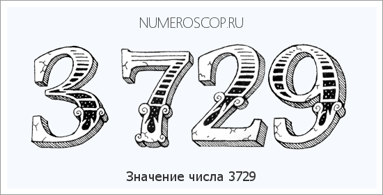 Расшифровка значения числа 3729 по цифрам в нумерологии