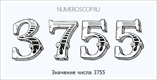 Расшифровка значения числа 3755 по цифрам в нумерологии