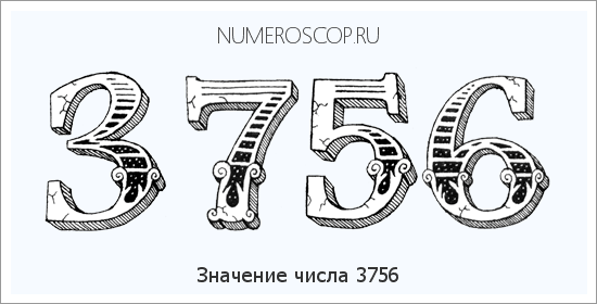Расшифровка значения числа 3756 по цифрам в нумерологии