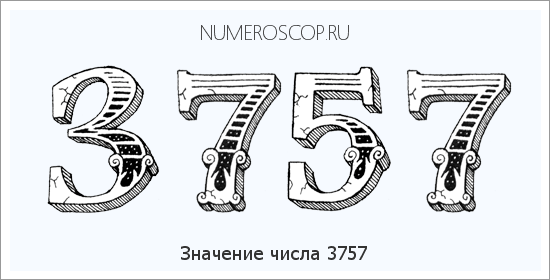 Расшифровка значения числа 3757 по цифрам в нумерологии