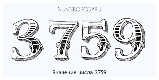 Расшифровка значения числа 3759 по цифрам в нумерологии